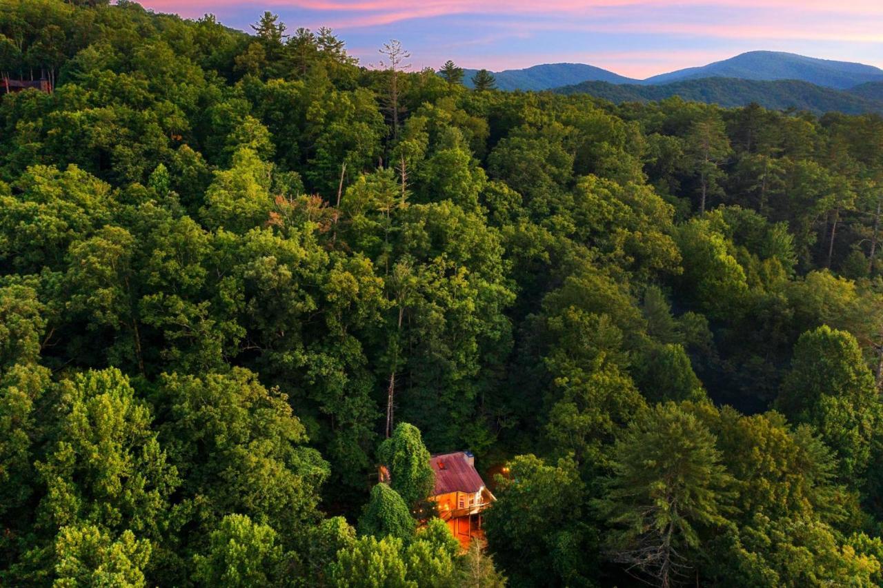 Cozy Cabin Retreat - Hot Tub, Fireplace & Fire Pit Blue Ridge Bagian luar foto